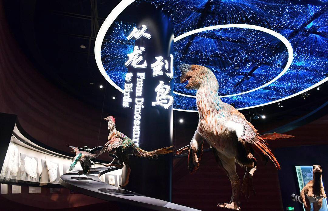 Liaoning Geopark