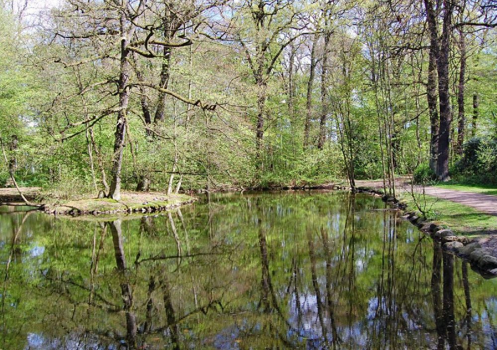 Wandsbeker Gehölz Teich