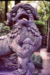 Ningbo - im Park der Bibliothek