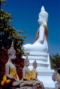 Buddhastatuen in Ayauthaya