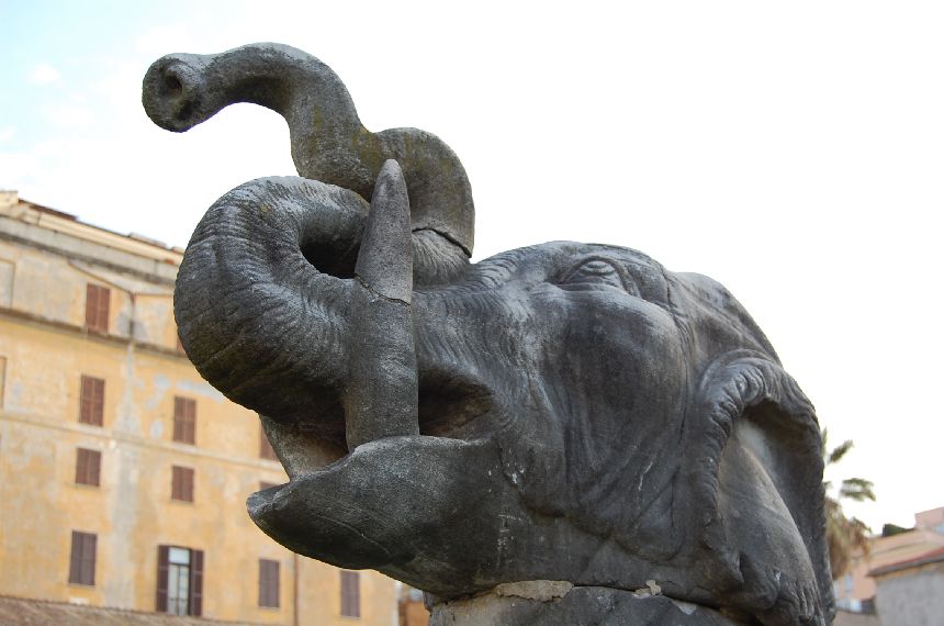 Elephant