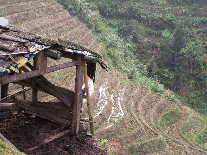 Longsheng
