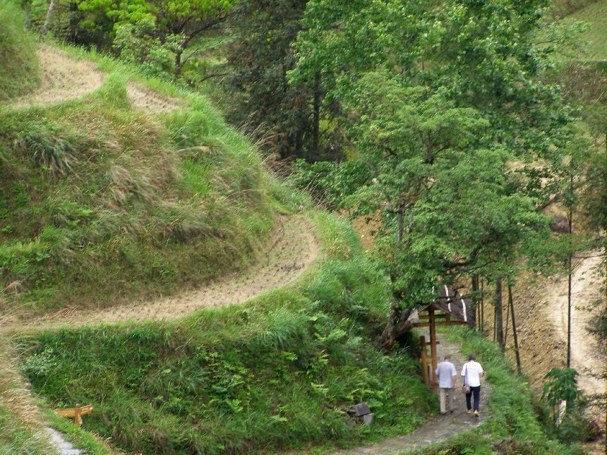Fussweg durch die Reisterrassen