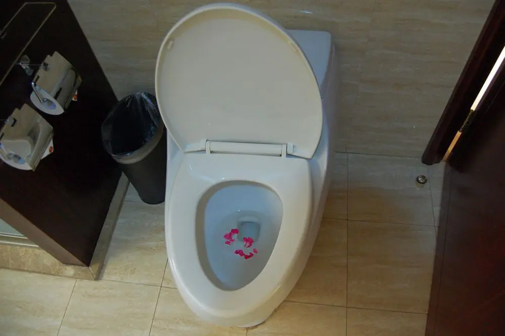 Linfen Hotel Toilette