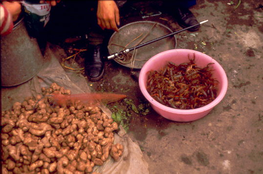 Markt Chengdu 1987