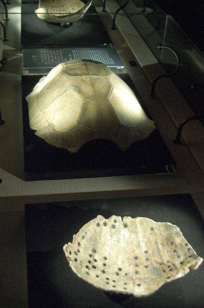 Schildkrötenpanzer mit merkwürdigen Zeichen Jinsha, Chengdu, ca. 3000 Jahre lat