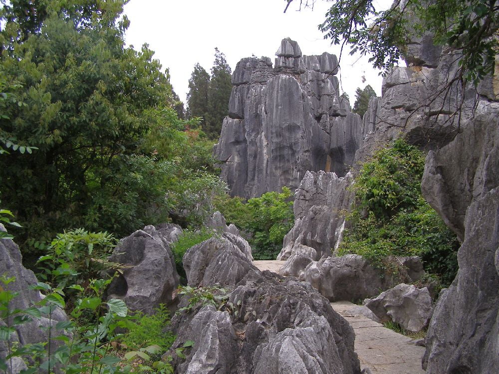 Steinwald