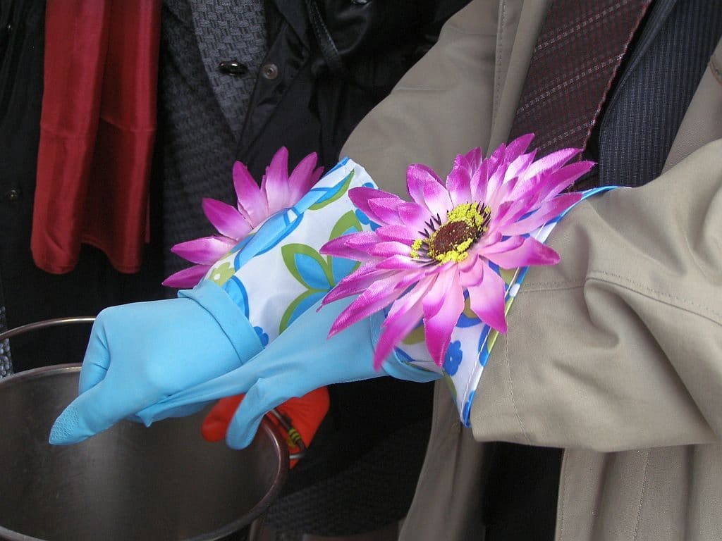 Fütterung von Alfie