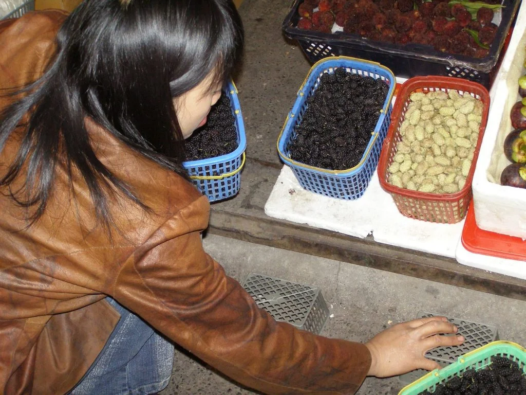Urumqi Maulbeeren