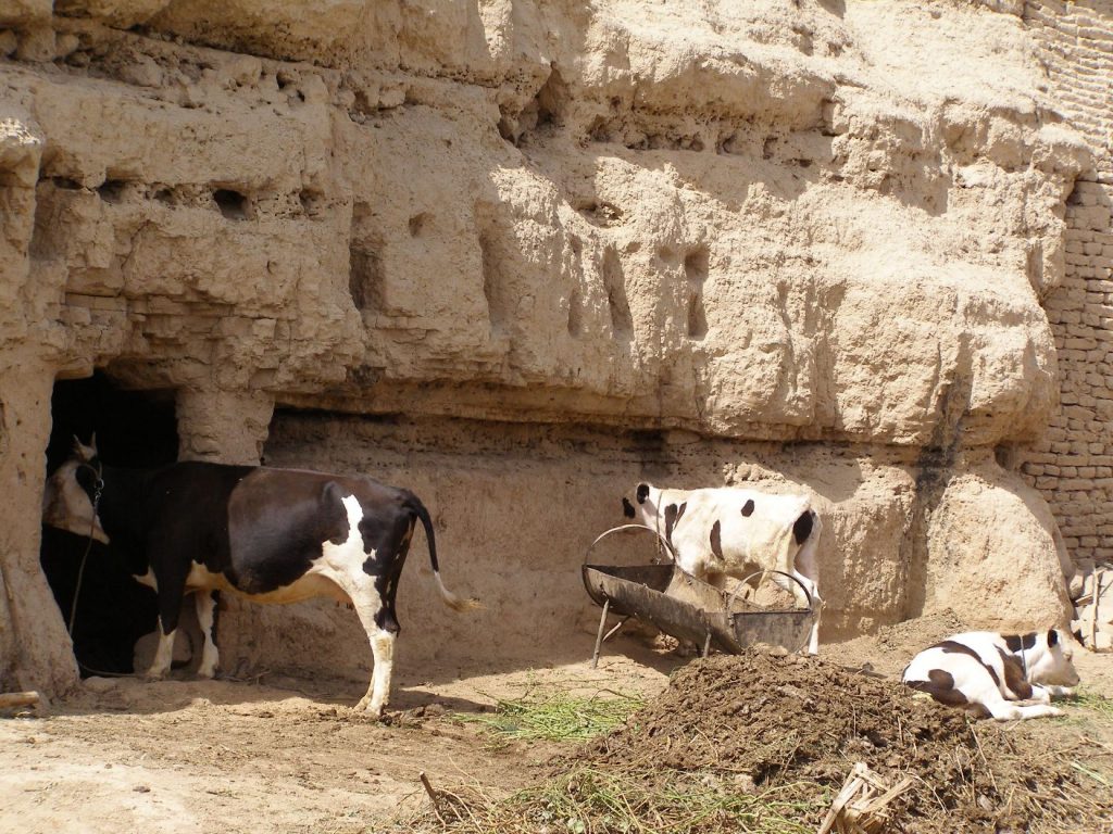 Turfan - Gaochang - Statdmauer - untergegangene Städte 