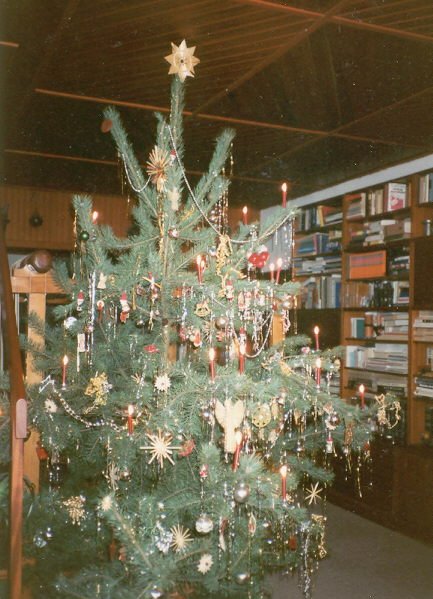 Weihnachten mit schlesischer Rosinensoße | Bambooblog Hamburg