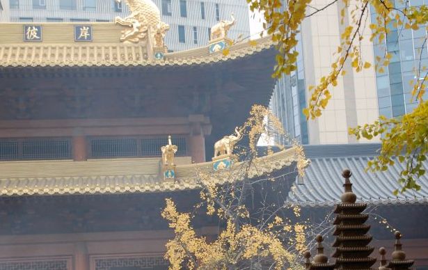 Elefanten am Jingan-Tempel Shanghai