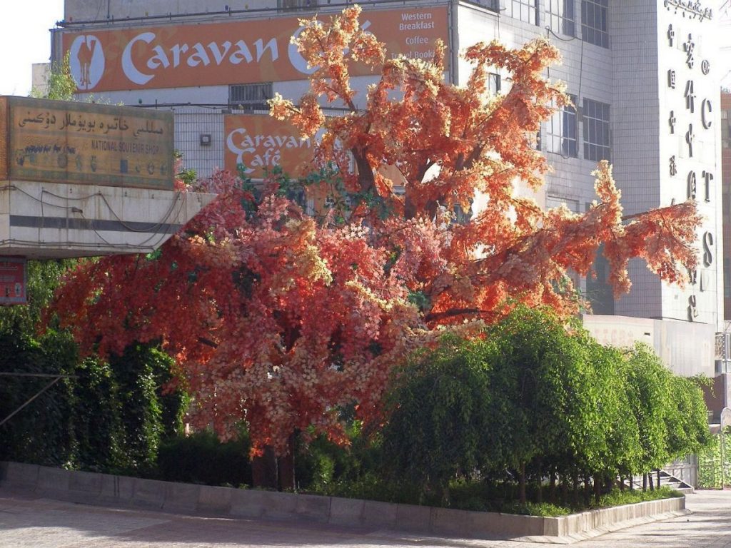 Kashgar Hoteleinfahrt