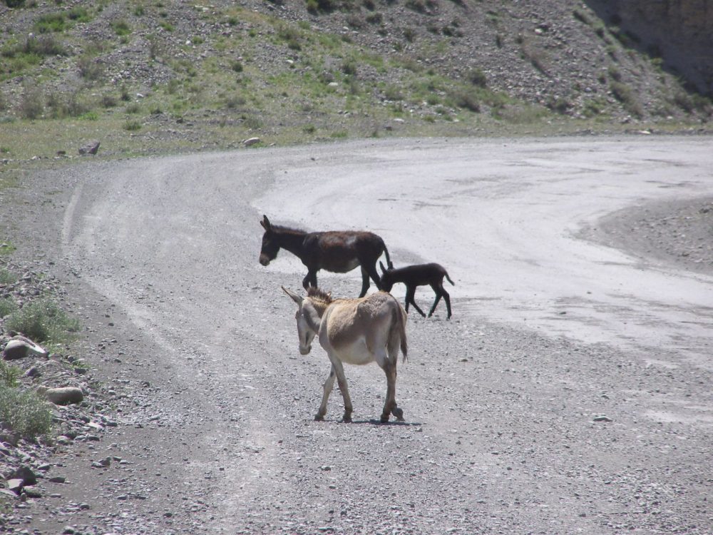 Pamir Highway Kirgistan