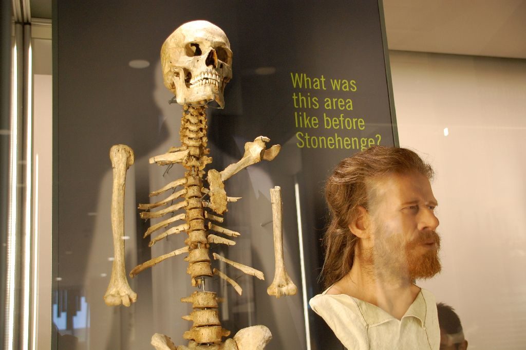 Im Museum - Skelett und Rekonstruktion eines Mannes