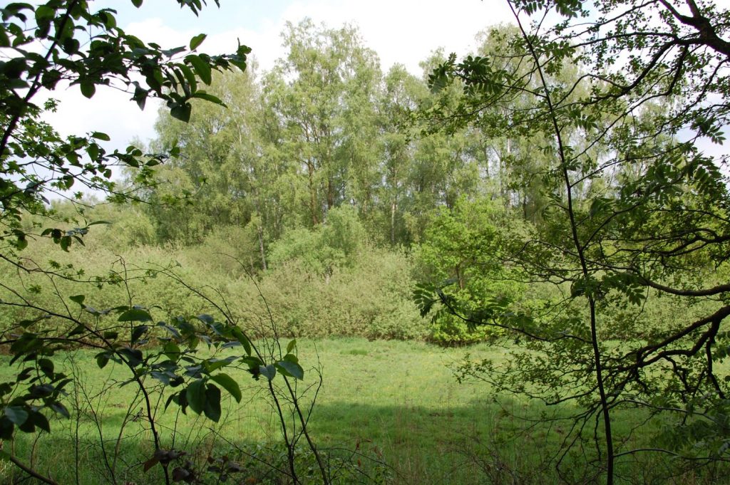 Der Pnnberg im Ahrensburger Tunneltal.