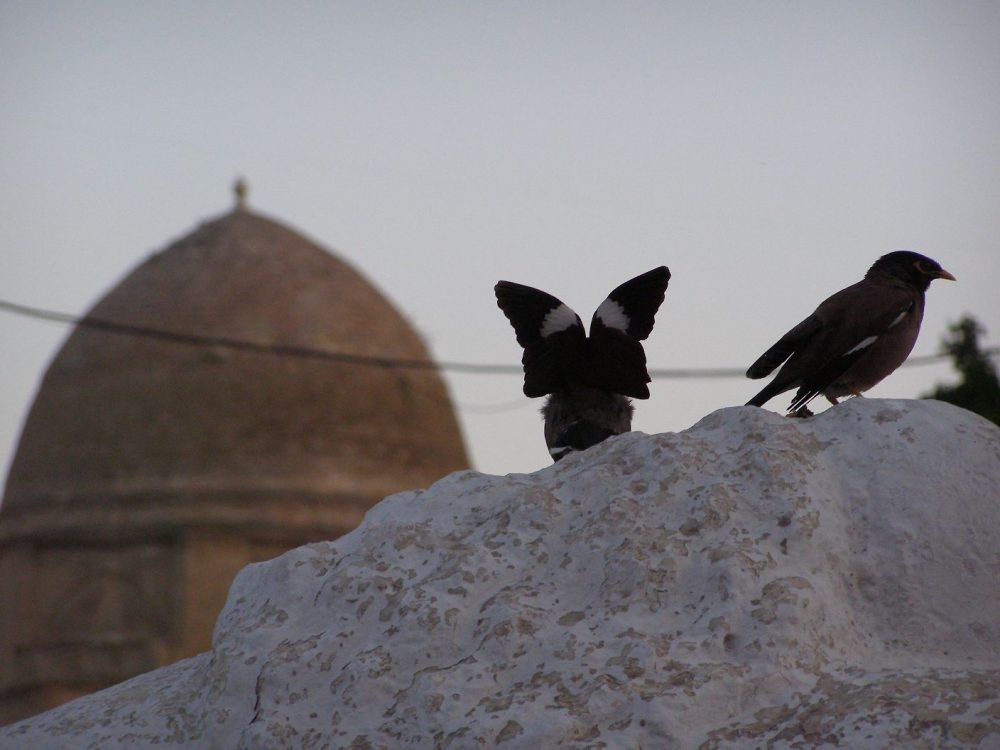 Gur Emir im Abendlicht