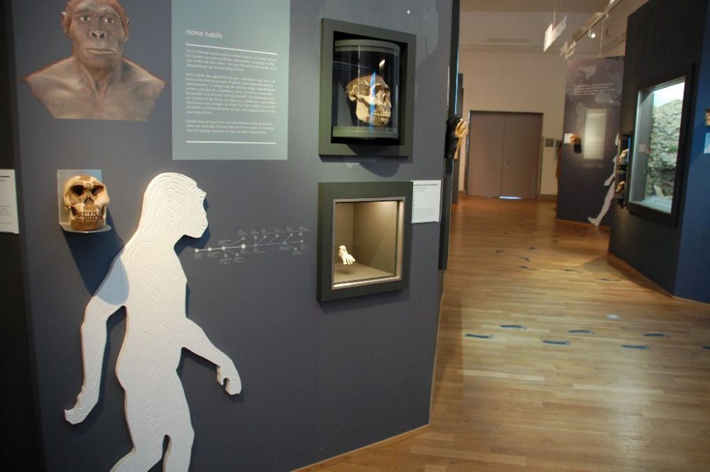 MenschenWelten im Landesmuseum Hannover