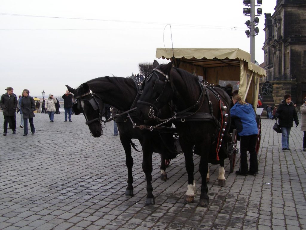 Dresden 2009
