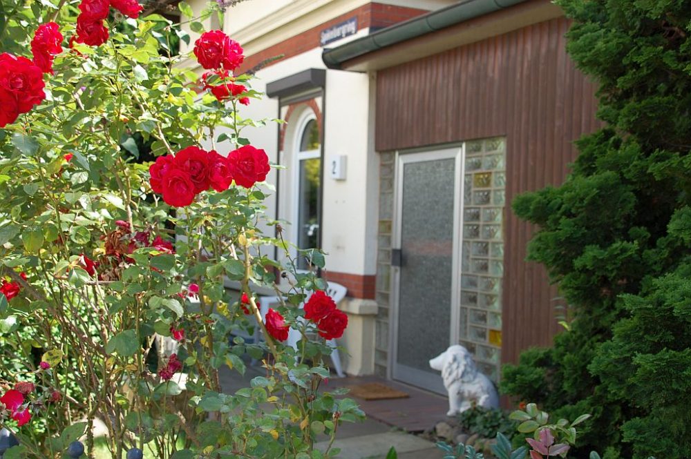 Billstedt : Vorgarten