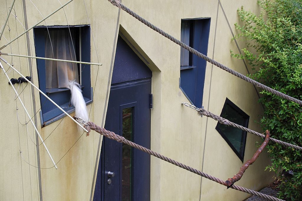 Zoo Dresden - Mantelaffen-Schwanz