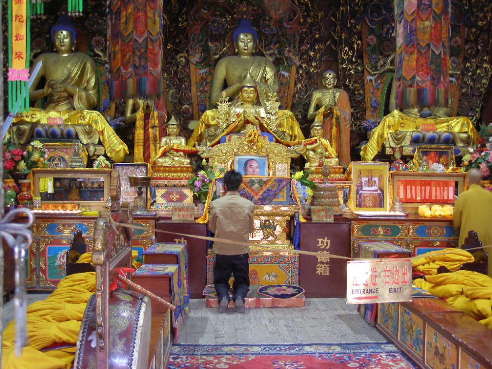 Altarraum. Wie verhalte ich mich richtig im Tempel.Man sieht mehrer Buddha-Statuen und ein Bild des Panchen Lama. Ein Frau kniet in Andacht vor dem Altar.