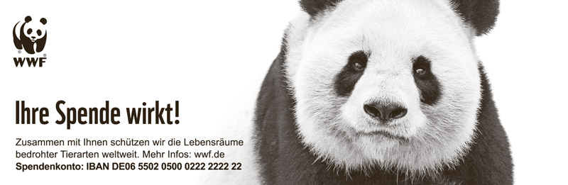 Großer Panda WWF
