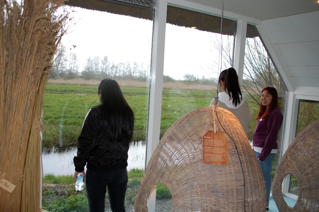 Besucherzentrum de Wieden - es regnet.