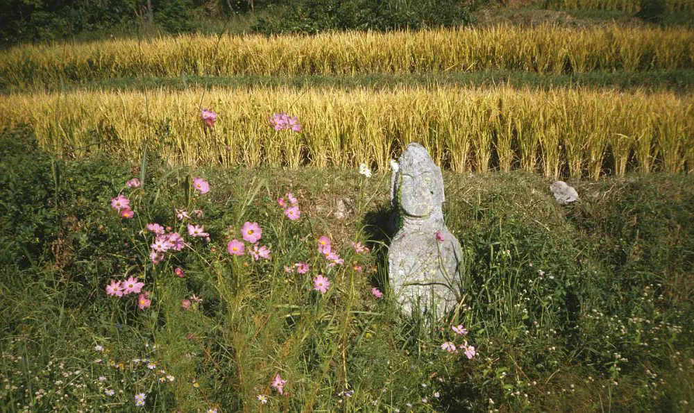 Unjusa Buddha, 2. Edle Wahrheit