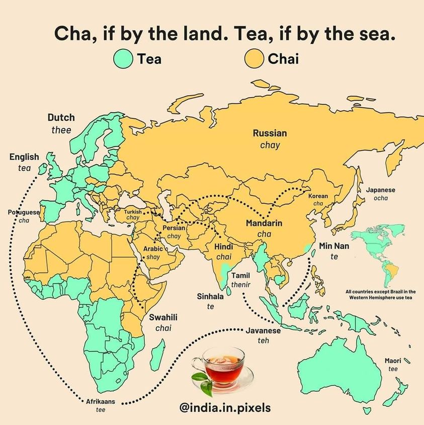 Illustration, wo welches Wort für Tee benutzt wird.