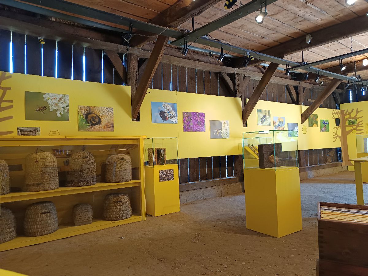 Ausstellung über Bienen.