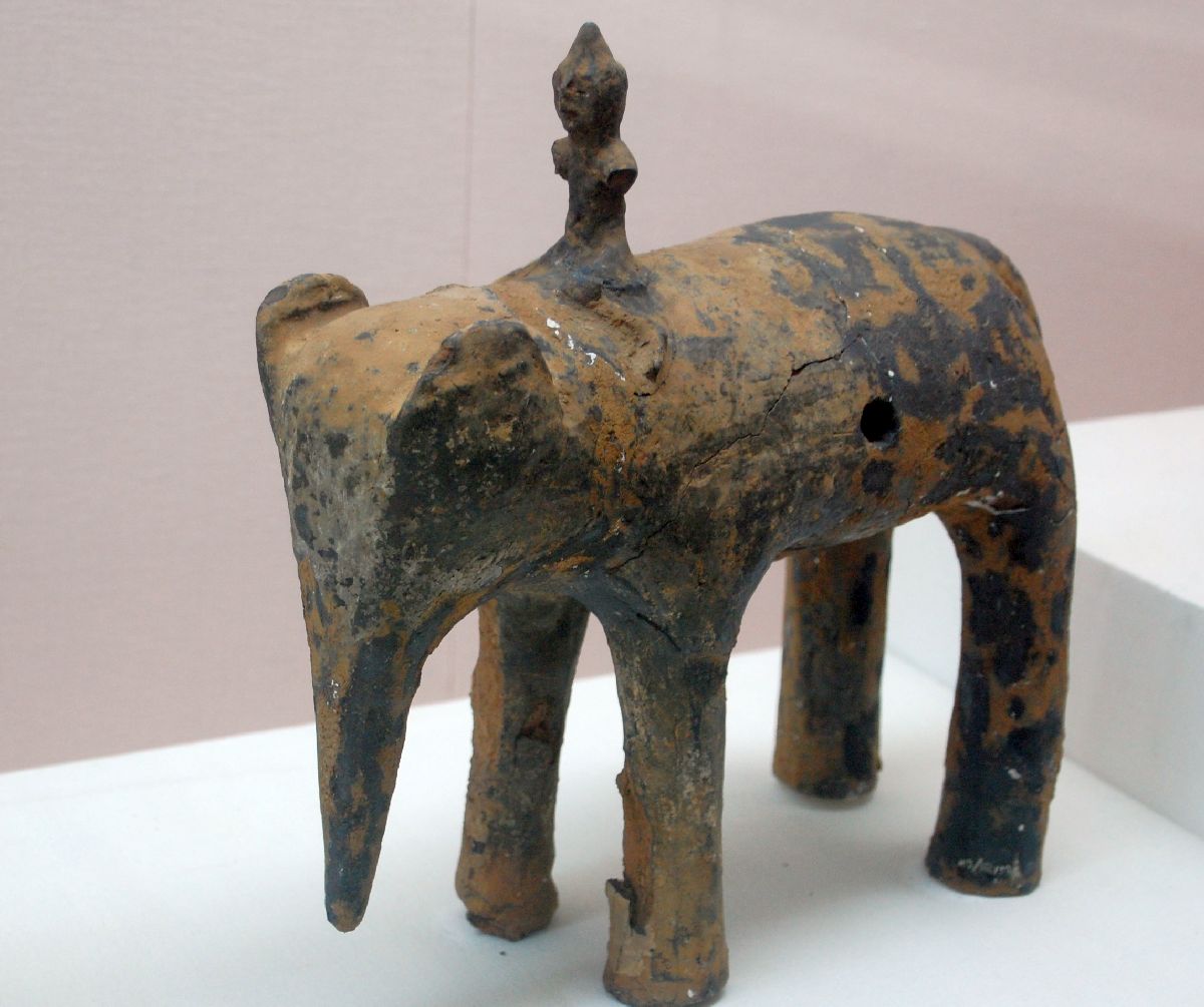 Elefant im Shaanxi Museum