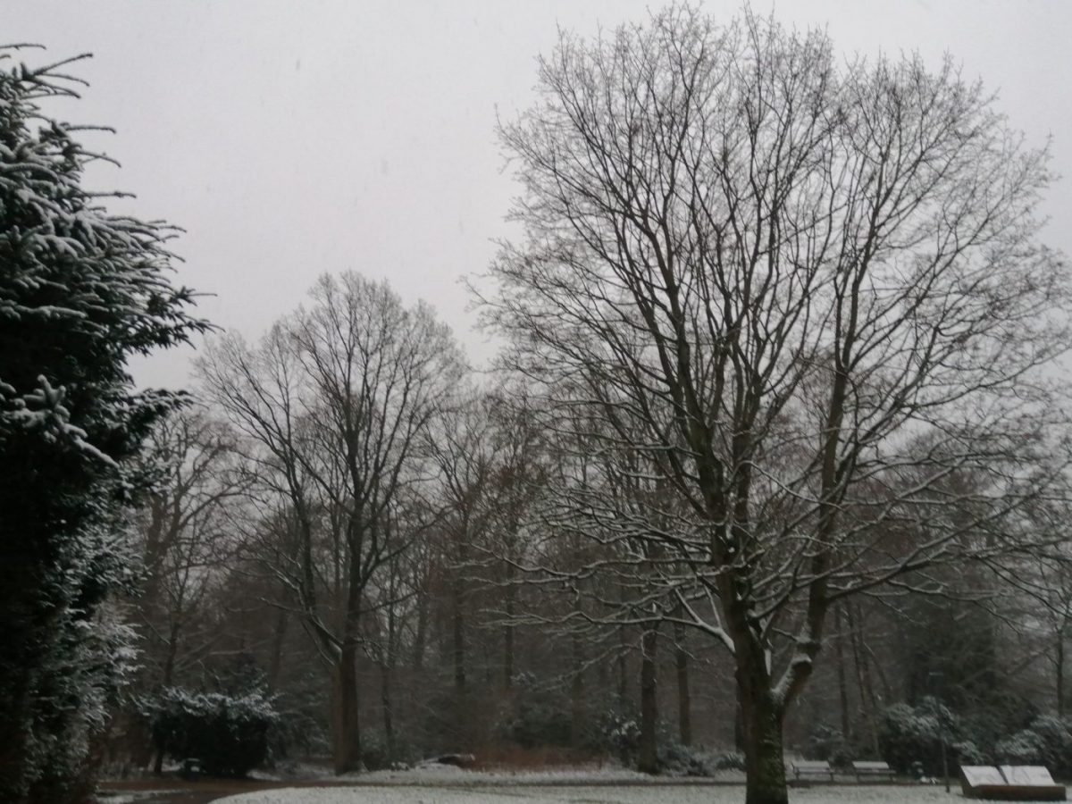 Blohms Park