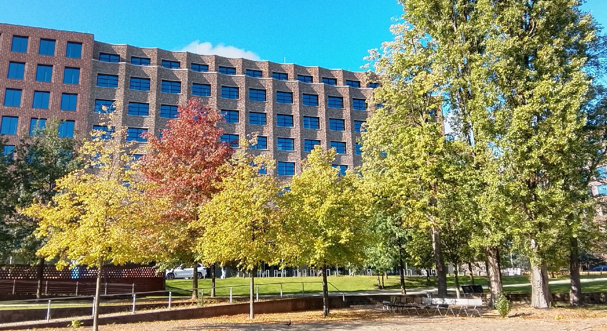 Lohsepark