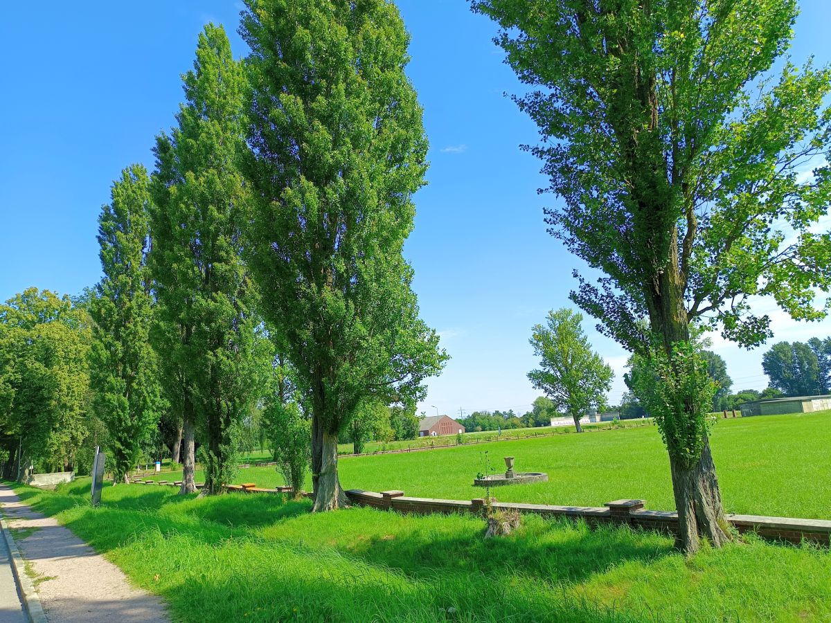 Neuengamme
