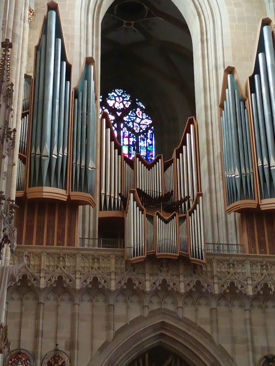Die Orgel