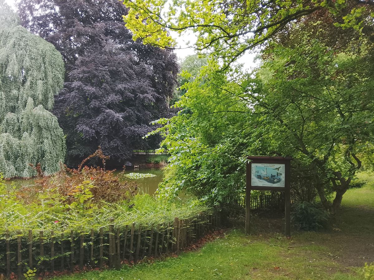 Teich im Rauhen Haus