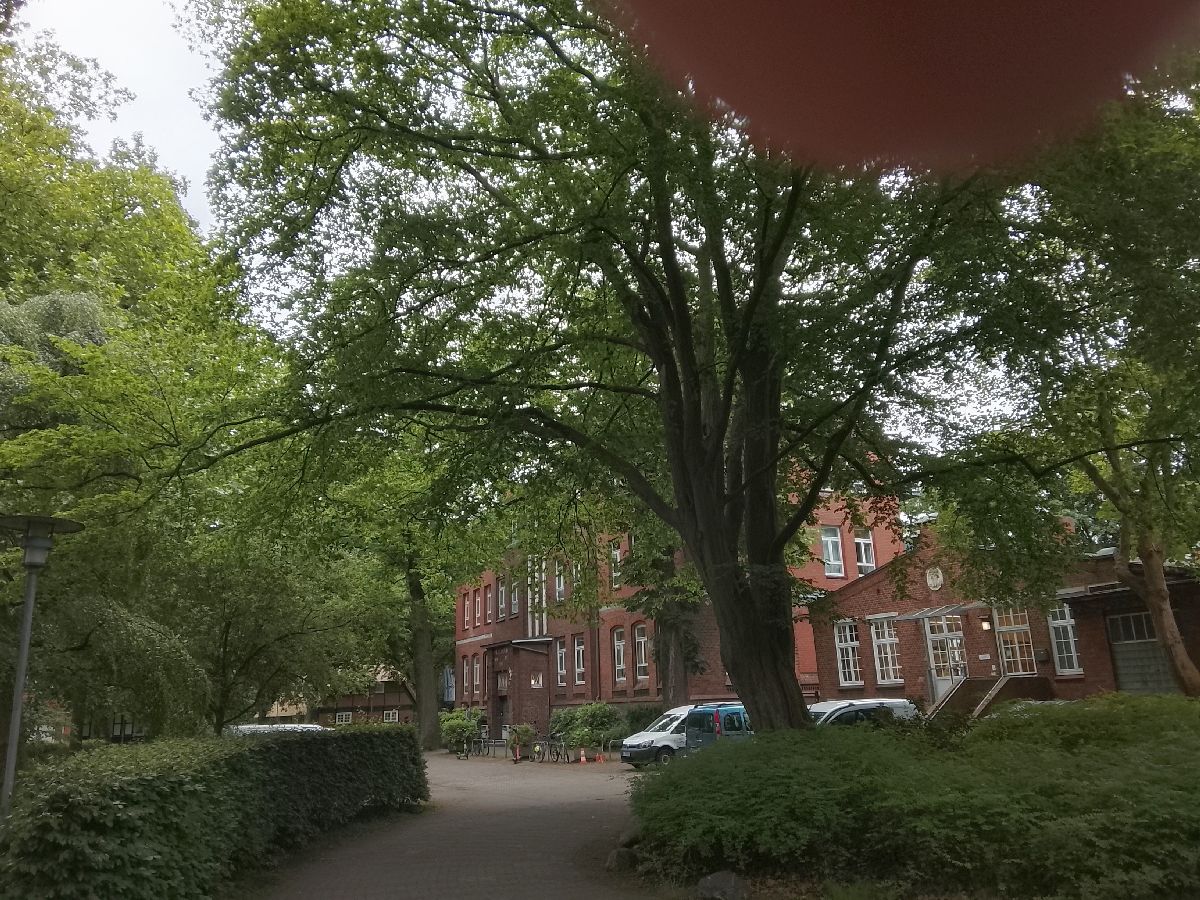 Rauhes Haus