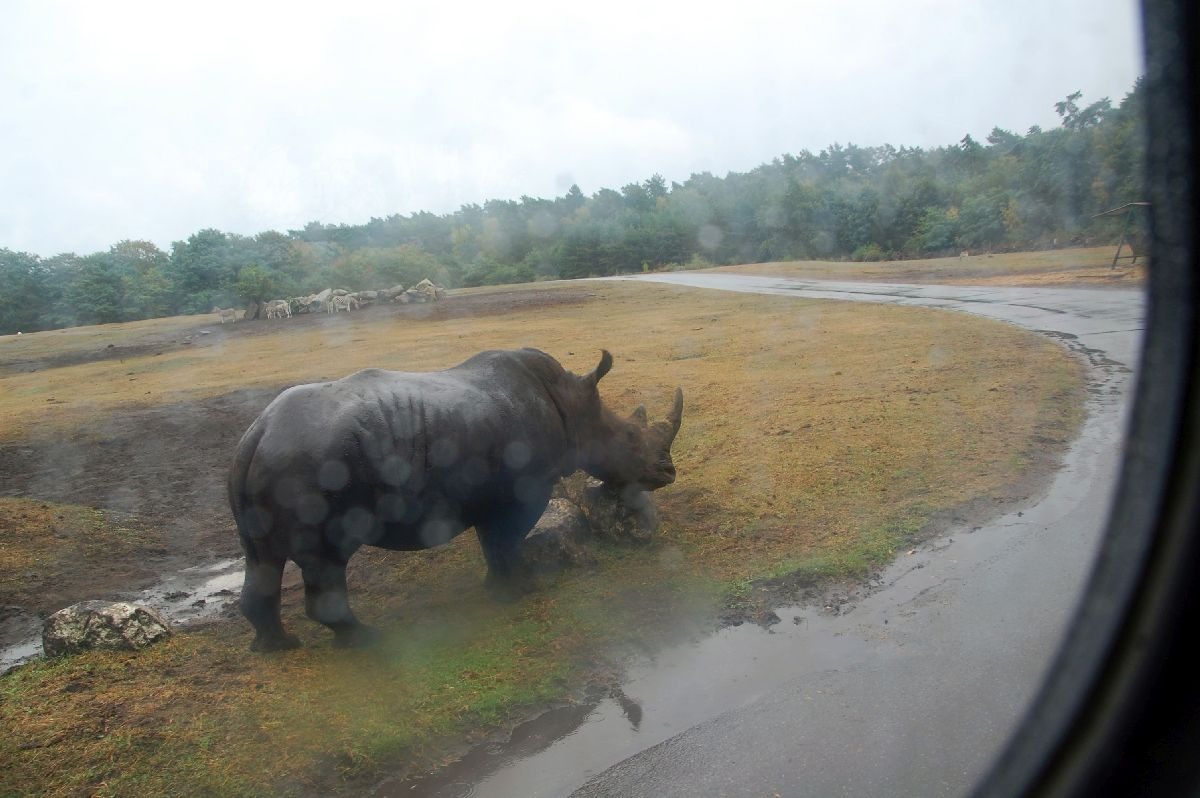 Serengeti Park