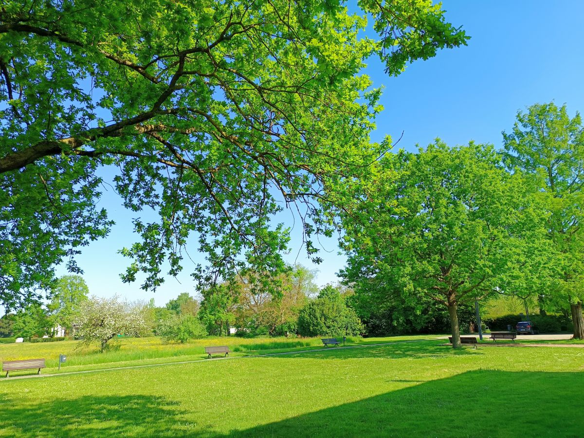 Landschaft bei der Villa Urbana Heitersheim.