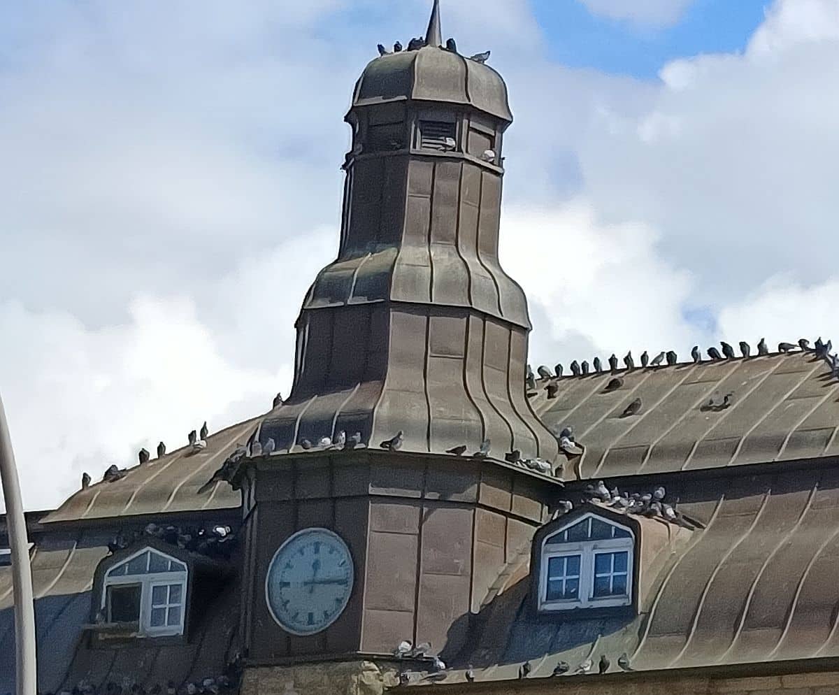 Taubenschlag in Hamburg