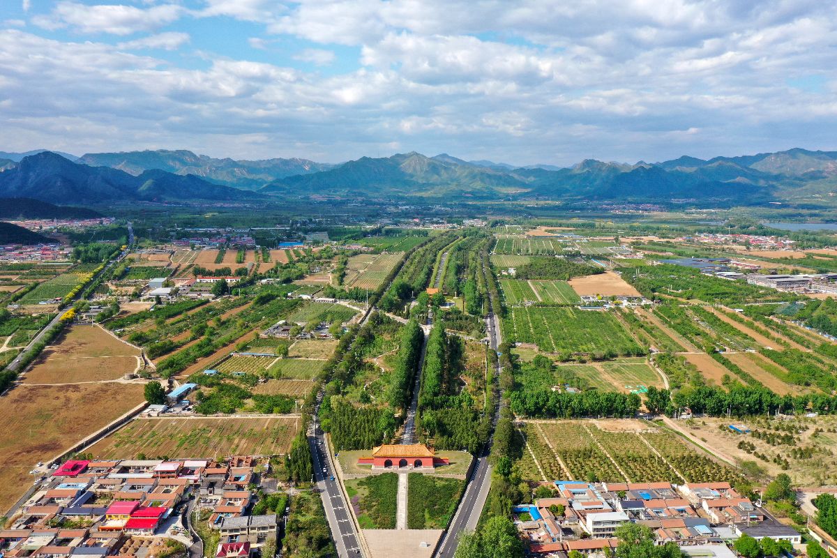 By Charlie fong - Own work, CC BY-SA 4.0, https://commons.wikimedia.org/w/index.php?curid=83116680