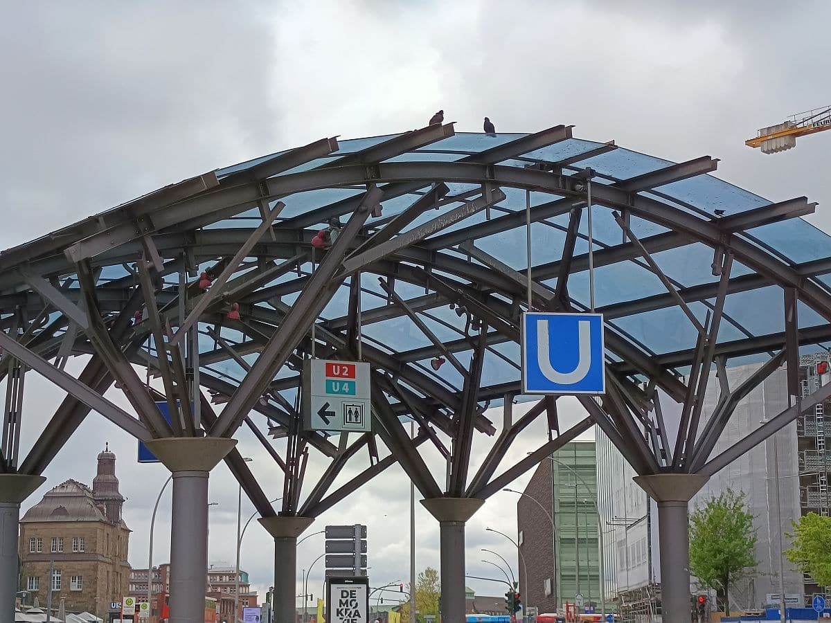 Tauben am Hauptbahnhof.