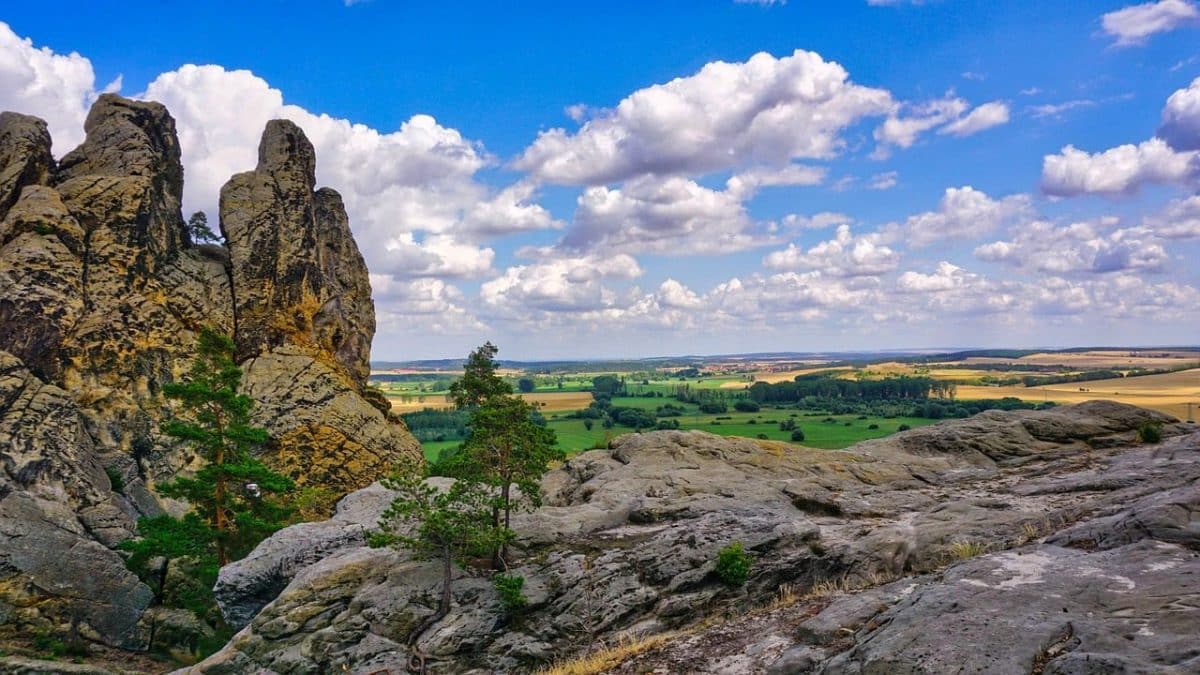Hamburger Wappen, Felsen im Harz