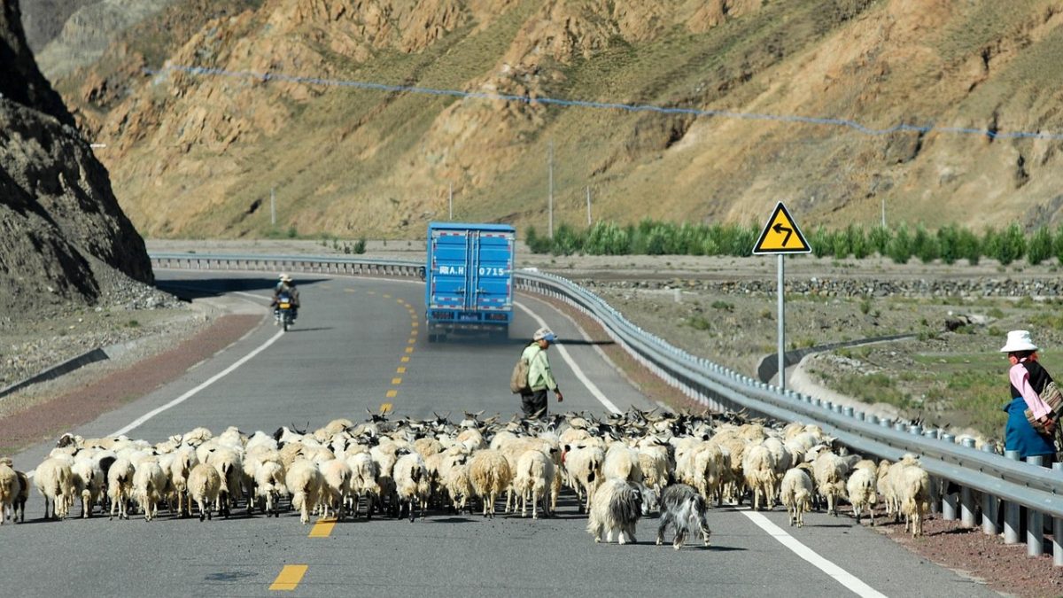 Tibet