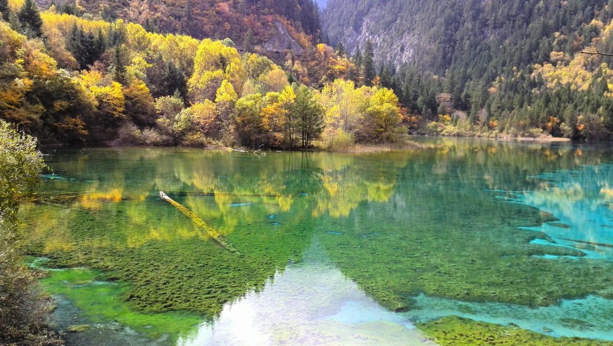 Jiuzhaigou Bild von <a href="https://pixabay.com/de/users/shanghaistoneman-5865447/?utm_source=link-attribution&utm_medium=referral&utm_campaign=image&utm_content=2692884">shanghaistoneman</a> auf <a href="https://pixabay.com/de//?utm_source=link-attribution&utm_medium=referral&utm_campaign=image&utm_content=2692884">Pixabay</a>
